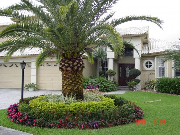 Lawn Care Service, Landscaping Pinellas County